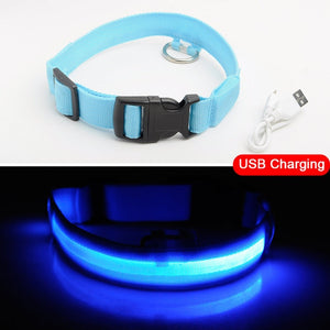 Light Up Pet Collar