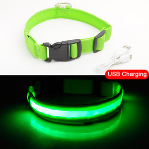 Light Up Pet Collar