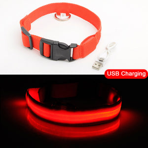 Light Up Pet Collar