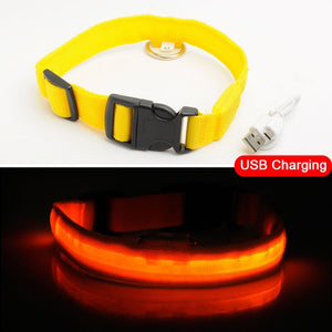 Light Up Pet Collar