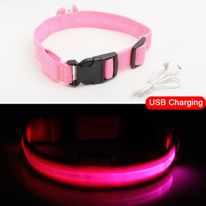 Light Up Pet Collar